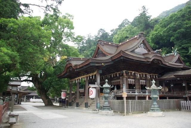 神说：你不能玩《宝可梦》！日本神社再发禁令