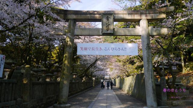 神说：你不能玩《宝可梦》！日本神社再发禁令