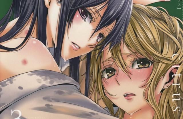 百合神作《citrus》或将动画化？粉丝烧香跪求